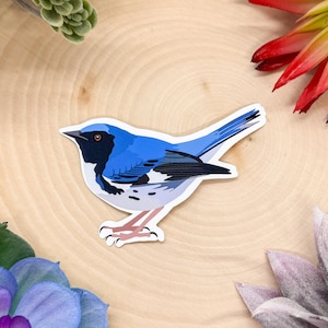 Peut inclure: Un autocollant représentant un oiseau bleu et blanc avec une tête noire et une longue queue. L'oiseau est perché sur une branche, les ailes déployées.