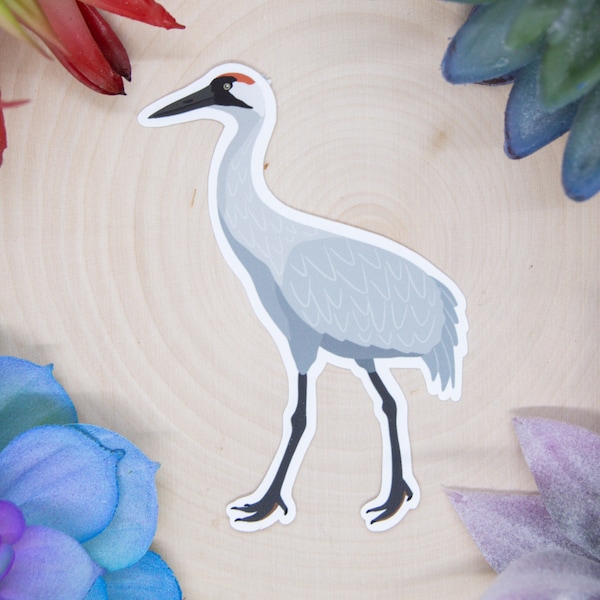 Whooping Crane Sticker, Whooping Crane Decal, Whooping Crane Decor, Whooping Crane Gift, Whooping Crane Bird, Whooping Crane