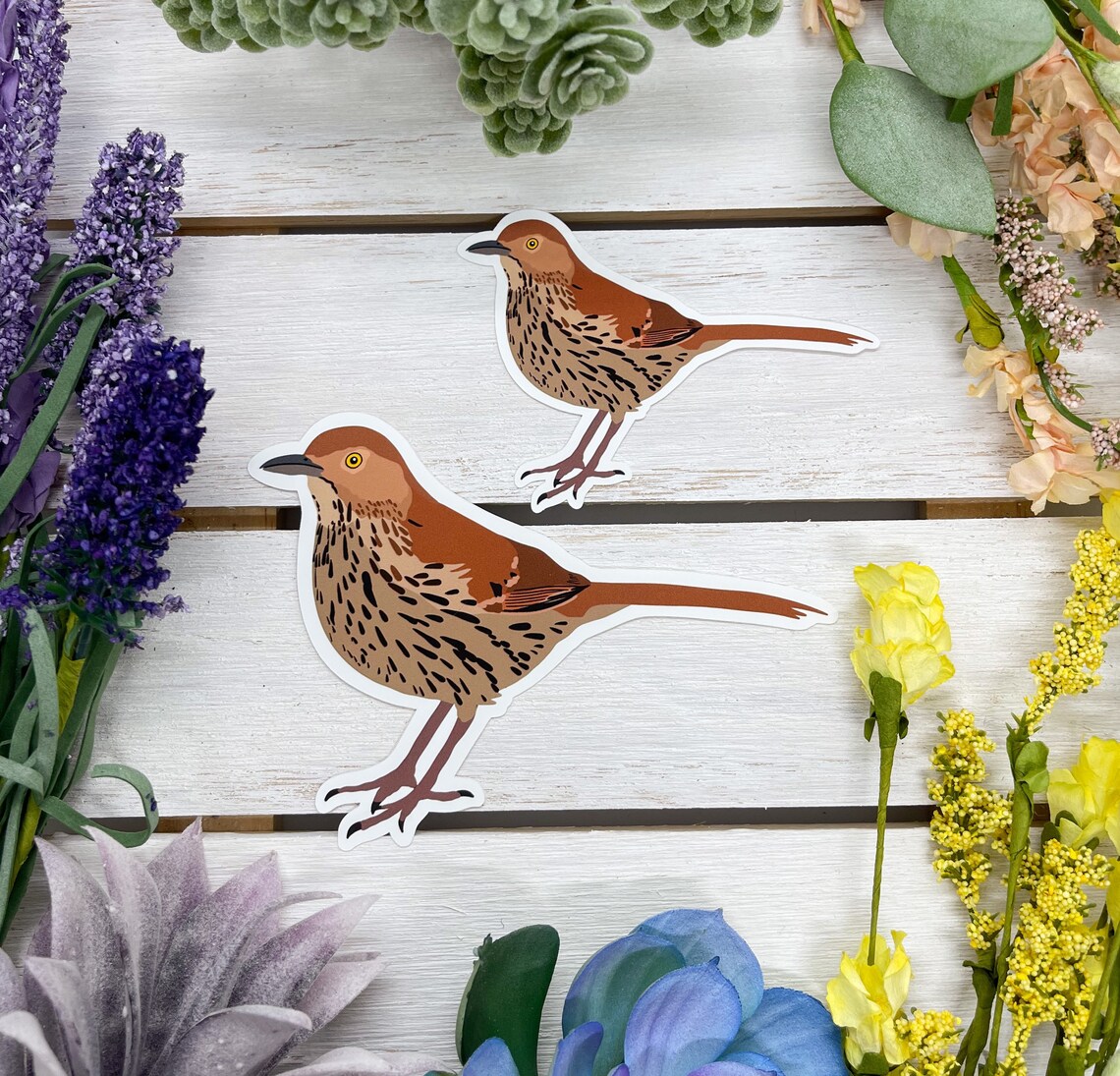 Thrush Bird Sticker Brown Thrasher Sticker, Bird Sticker, Birdwatching Sticker, Brown ...
