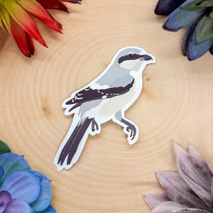 May include: A sticker featuring a stylized illustration of a bird with gray, white, and black markings. The bird is positioned on a wooden surface, surrounded by colorful artificial flowers and succulents.