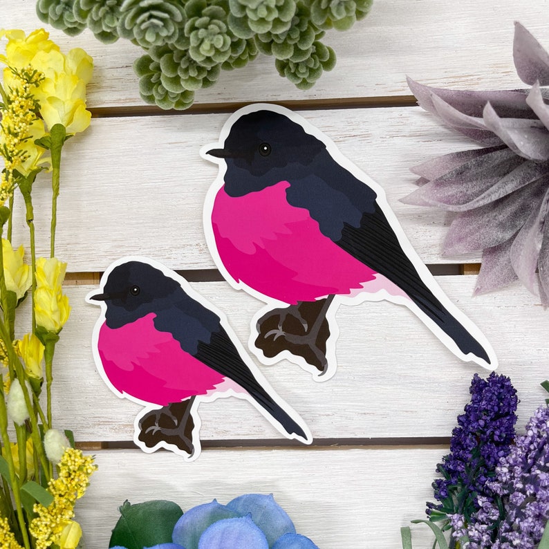 Pink Robin Sticker Pink Robin Sticker, Bird Sticker, Birdwatching Sticker, Birding Sticker ...