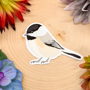 Black Capped Chickadee Sticker, Bird Sticker, Birdwatching Sticker, Birding Sticker, Chickadee Sticker, Chickadee Decal, Chickadee Gift