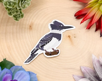 May include: A sticker featuring a stylized illustration of a belted kingfisher bird perched on a brown branch. The bird has a white chest, a gray back with white spots, and a black beak. The background is a light wood grain.