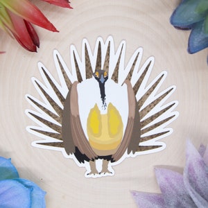 Fine Art Print The Greater Sage Grouse and Adventure Boy -  Portugal