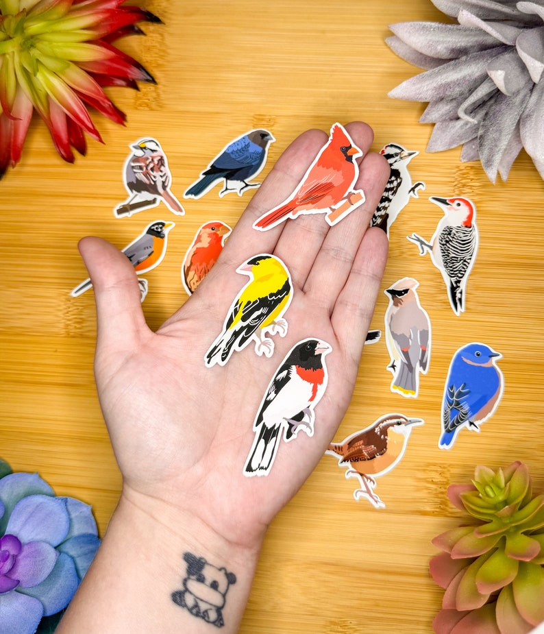 Backyard Birds Sticker Pack, Mini Bird Sticker Pack, Bird Journal ...