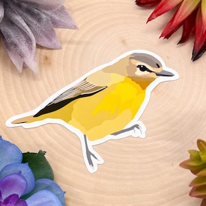 Philadelphia Vireo Sticker, Philadelphia Vireo Decal, Philadelphia Vireo Gift, Philadelphia Vireo Decor, Philadelphia Vireo Bird, Birdwatch