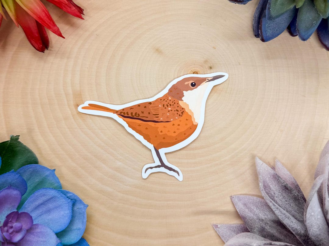 Wren Sticker Canyon Wren Sticker, Canyon Wren Decal, Birdwatching Sticker, Bird ...