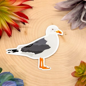 Black Backed Gull Sticker, Black Backed Gull Decal, Seagull Gift, Seagull Decor, Gull Bird Sticker, Gull Bird Decal,