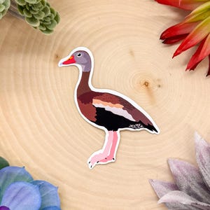 Black Bellied Whistling Duck Sticker, Bird Sticker, Birdwatching Sticker, Birding Sticker, Black Bellied Whistling Duck, Duck Sticker, Ducks