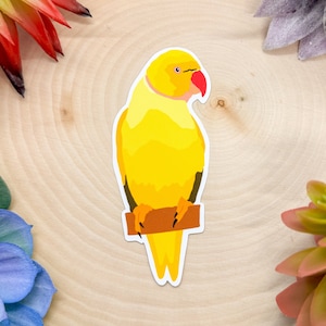 Indian Ringneck Parrot Sticker, Indian Ringneck Decal, Indian Ringneck Gift, Indian Ringneck Parrot, Ringneck Parrot Bird