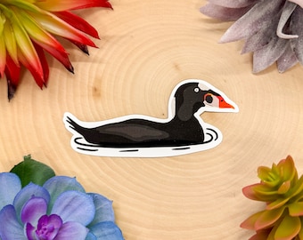 Surf Scoter Sticker, Surf Scoter Decal, Surf Scoter Gift, Scoter Decor, Scoter Bird Sticker, Surf Scoter Bird Decal, Surf Scoter Lover