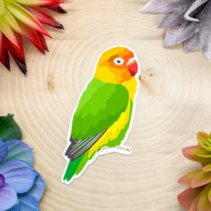 Lovebird Sticker, Lovebird Decal, Lovebird Gift, Lovebird Decor, Love Bird, Love Bird Parrot, Birdwatching sticker, birding sticker