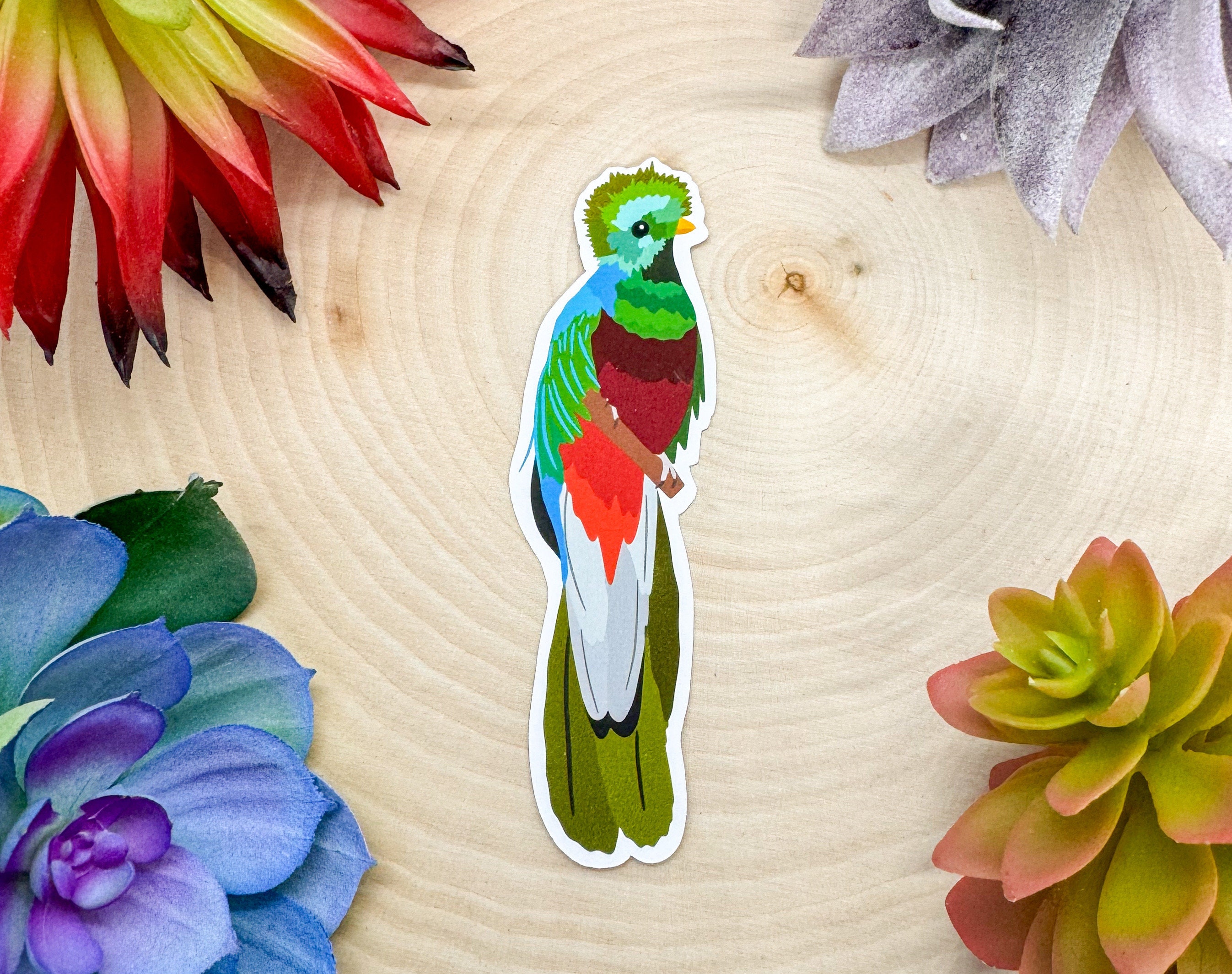 Resplendent Quetzal Sticker, Quetzal Decal, Quetzal Gift, Quetzal Decor, Quetzal Bird, Bird of paradise sticker, quetzal sticker