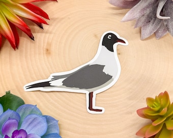 May include: A black and white sticker of a seagull with a black head and a gray body. The sticker is on a light brown wooden surface.