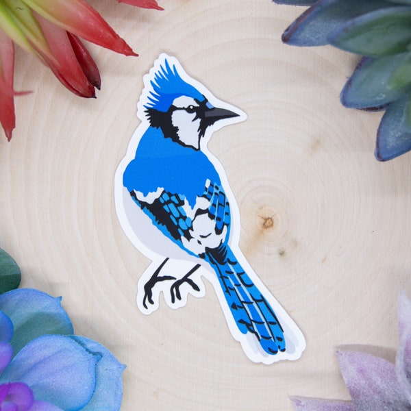 Blue Jay Sticker, Bird Sticker, Birdwatching Sticker, Birding Sticker, Blue Jay Decal, Blue Jay Decor, Blue Jay Gift, Blue Jay Stickers