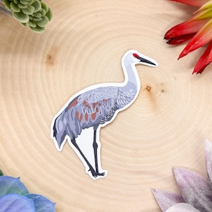 Sandhill Crane Sticker, Bird Sticker, Birdwatching Sticker, Birding Sticker, Sandhill Crane Decal, Sandhill Crane Gift, Sandhill Crane