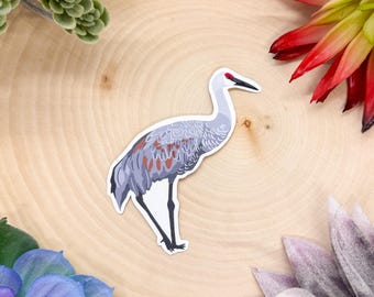 Sandhill Crane Sticker, Bird Sticker, Birdwatching Sticker, Birding Sticker, Sandhill Crane Decal, Sandhill Crane Gift, Sandhill Crane