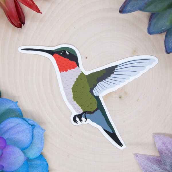 Ruby Throated Hummingbird Sticker, Bird Sticker, Birdwatching Sticker, Hummingbird Decal, Hummingbird Decor, Hummingbird Gift, Hummingbird
