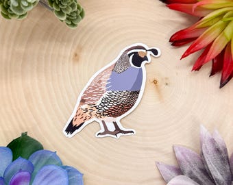 Peut inclure: Un autocollant représentant une illustration colorée d'une caille aux plumes brunes, blanches et bleues. La caille est debout sur un fond blanc.