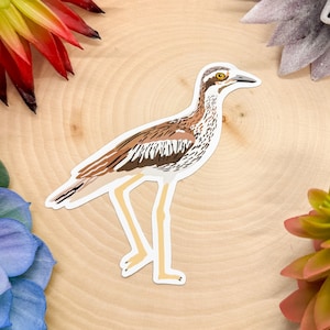 Der Brachvogel Aufkleber, Der Brachvogel Aufkleber, Der Brachvogel Geschenk, Der Brachvogel Dekor, Der Brachvogel