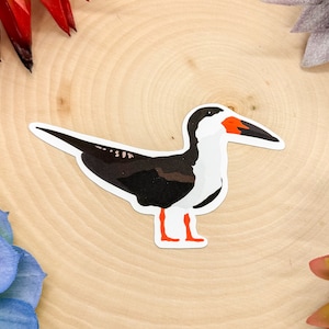Black Skimmer Sticker, Black Skimmer Decal, Black Skimmer Gift, Black Skimmer Decor, Black Skimmer Bird