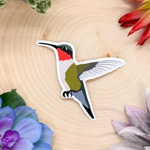 Ruby Throated Hummingbird Sticker, Bird Sticker, Birdwatching Sticker, Hummingbird Decal, Hummingbird Decor, Hummingbird Gift, Hummingbird