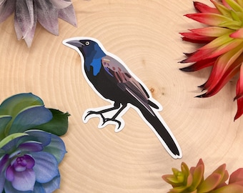 Puede incluir: Una pegatina de un pájaro negro y azul con un contorno blanco. El pájaro está posado en una rama con las alas extendidas.