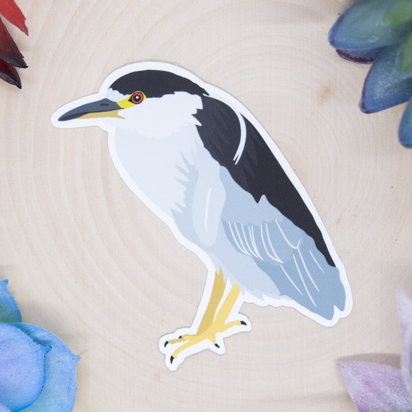 Black Crowned Night Heron Sticker, Bird Sticker, Birdwatching Sticker, Birding Sticker, Night Heron Decal, Night Heron Sticker, Heron Decal