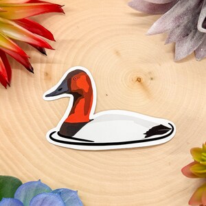 May include: A white and black duck with a red head and neck. The duck is swimming in a black outline on a white background.