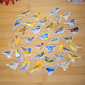 Könnte beinhalten: Eine Sammlung farbenfroher Vogelaufkleber in verschiedenen Posen und Arten. Die Aufkleber zeigen detaillierte Illustrationen von Vögeln mit leuchtend gelbem, blauem und grünem Gefieder, vor einem hellbraunen Holzgrund. Ideal für Naturliebhaber und Bastler.