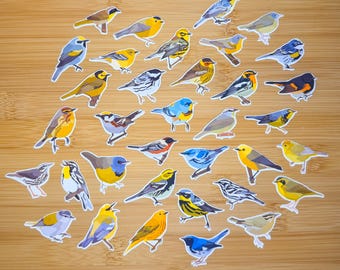 Warbler Sticker Pack, Mini Bird Sticker Pack, Bird Journal Stickers, Bird Sticker Pack, Bird Journal, Lifer List, Birdwatching Stickers