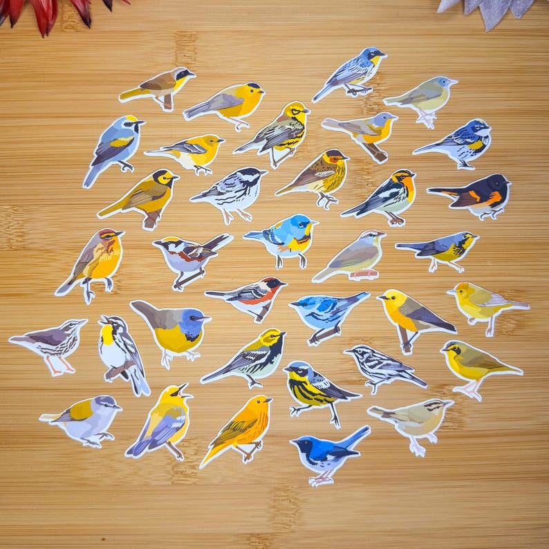 Warbler Sticker Pack, Mini Bird Sticker Pack, Bird Journal Stickers ...