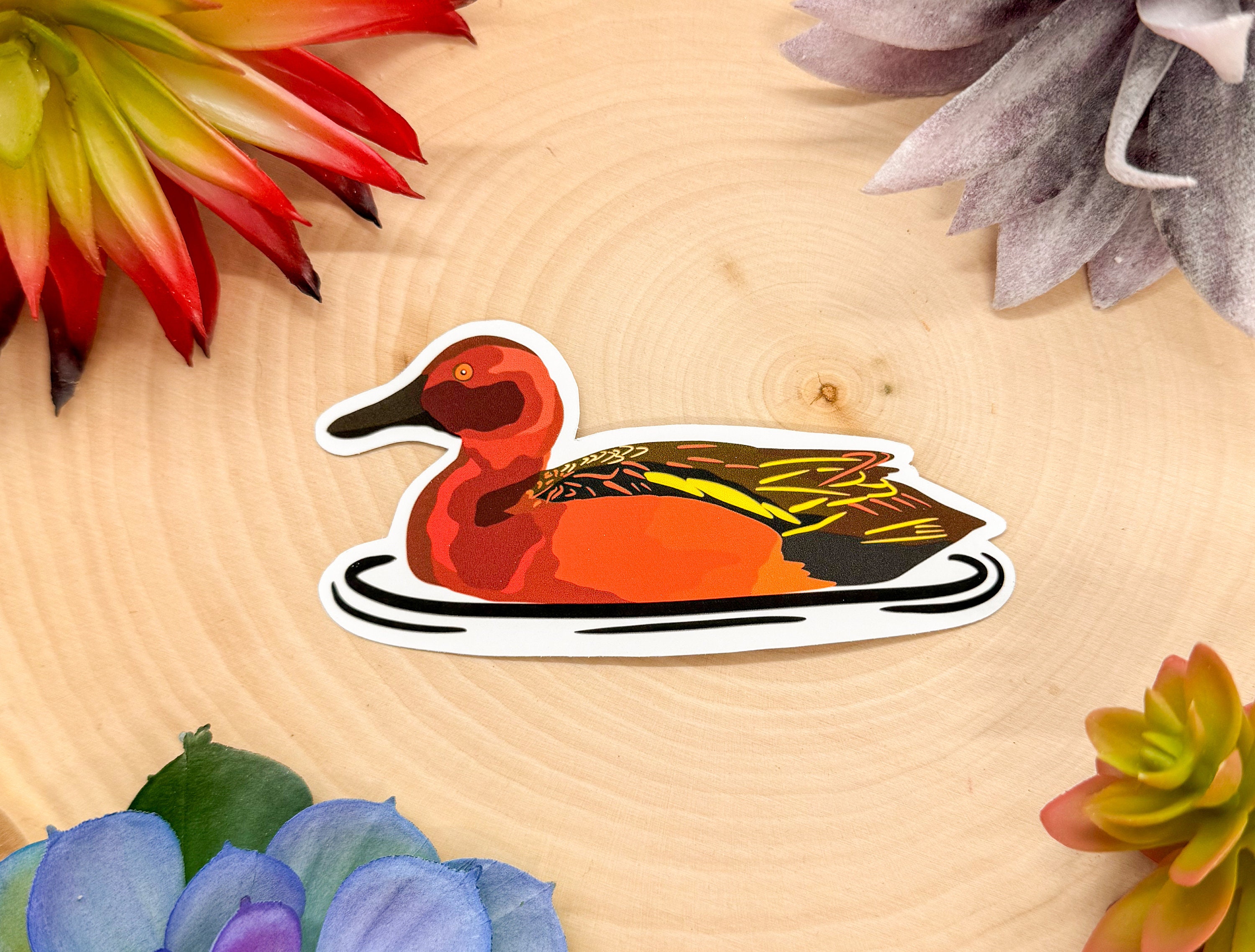 Sticker cannelle sarcelle, sticker cannelle sarcelle, cadeau canard sarcelle, décor canard sarcelle, sticker oiseau cannelle sarcelle, sticker oiseau