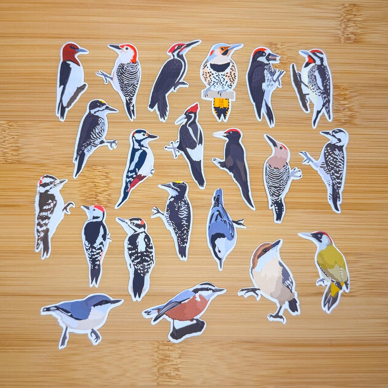 May include: A collection of colorful bird stickers in various poses, including woodpeckers, nuthatches, and other species. The stickers feature detailed illustrations with a white border, set against a wooden background. Ideal for nature enthusiasts and crafters.