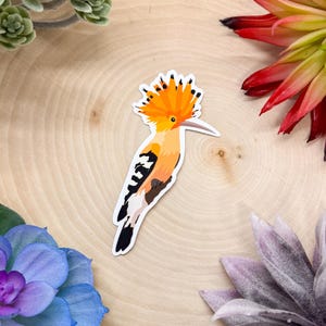 Hoopoe Sticker, Bird Sticker, Birdwatching Sticker, Birding Sticker, Hoopoe Gift, Hoopoe Decal, Hoopoe Bird, Hoopoe Decor, Hoopoe Painting