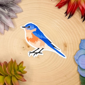 Eastern Bluebird Sticker, Bird Sticker, Birdwatching Sticker, Birding Sticker, Blue Bird Decal, Blue Bird Sticker, Blue Bird Gift, Blue Bird
