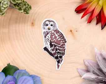 Barred Owl Sticker, Bird Sticker, Birdwatching Sticker, Birding Sticker, Owl Sticker, Owl Decal, Barred Owl Decal, Barred Owl Decor, Owl