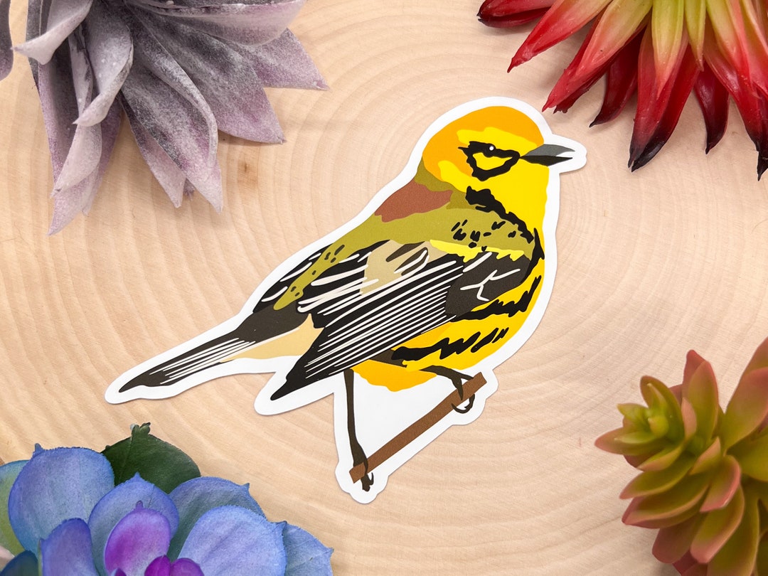 Prairie Warbler Sticker, Prairie Warbler Decal, Prairie Warbler Gift ...