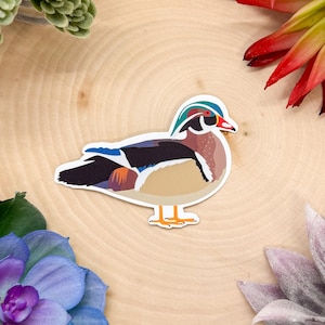 Wood Duck Sticker, Bird Sticker, Birdwatching Sticker, Birding Sticker, Wood Duck Decal, Wood Duck Gift, Wood Duck Decor, Duck Sticker, Duck