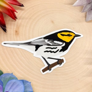 Golden Cheeked Warbler Sticker, Golden Cheeked Warbler Decal, Warbler Bird Gift, Warbler Bird Decor, Warbler Sticker, Warbler Decal,