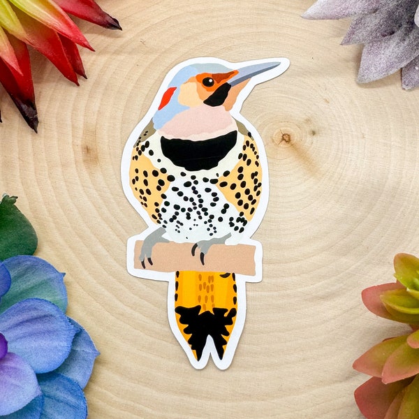 Nothern Flicker Sticker, Bird Sticker, Birdwatching Sticker, Birding Sticker, Northern Flicker Decal, Northern Flicker Gift, Flicker Sticker