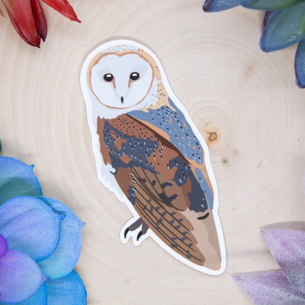 Barn Owl Sticker, Owl Sticker, Bird Sticker, Birdwatching Sticker, Birding Sticker, Barn Owl Decal, Barn Owl Gift, Barn Owl Decor, Barn Owl