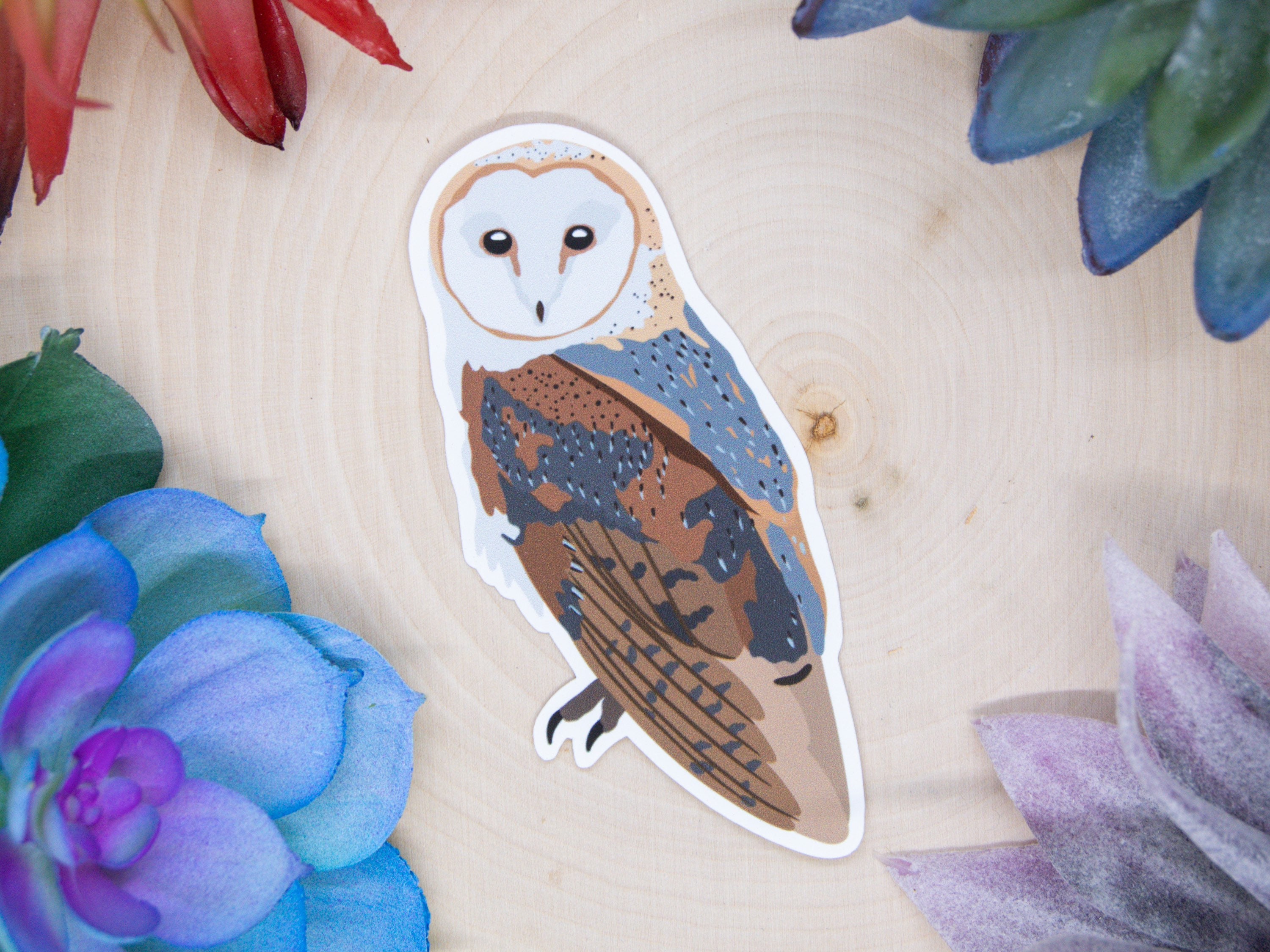 Barn Owl Waterproof Sticker – Botanical Bright - Add a Little