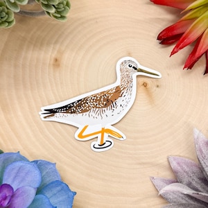 Yellowlegs Sticker, Greater Yellowlegs, Lesser Yellowlegs, Yellowlegs Sticker, Bird Sticker, Birdwatching Sticker, Birding Sticker,