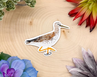 May include: A sticker of a brown and white shorebird with a long, thin beak and long legs. The bird is standing on a wooden surface.