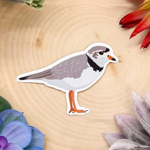 May include: A sticker of a grey and white bird with orange legs and a black stripe around its eye. The bird is standing on a wooden surface.