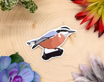 Red Breasted Nuthatch Sticker, Bird Sticker, Birdwatching Sticker, Birding Sticker, Nuthatch Sticker, Nuthatch Decal, Nuthatch Gift,