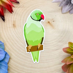 Indian Ringneck Parrot Sticker, Indian Ringneck Decal, Indian Ringneck Gift, Indian Ringneck Parrot, Ringneck Parrot Bird