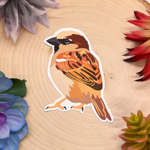 House Sparrow Sticker, Bird Sticker, Birdwatching Sticker, Birding Sticker, Sparrow Sticker, House Sparrow Decal, House Sparrow Decor