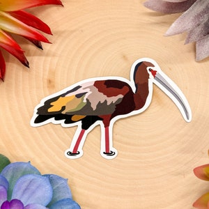White Faced Ibis Sticker, White Faced Ibis Decal, Ibis Bird Gift, Ibis Decor, Ibis Bird Sticker, Ibis Bird Decal, White Faced Ibis